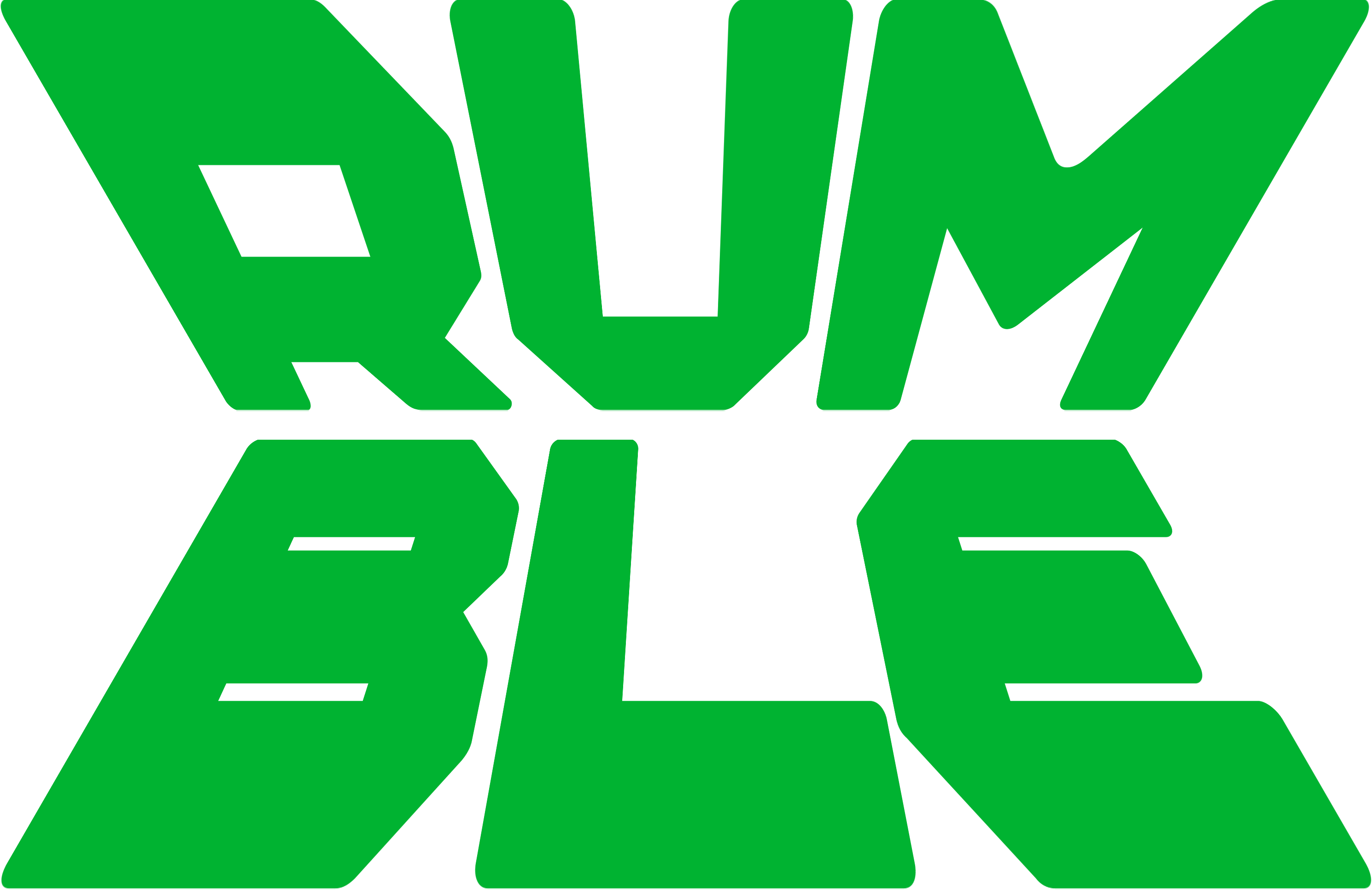 Regional Rumble MENA Logo